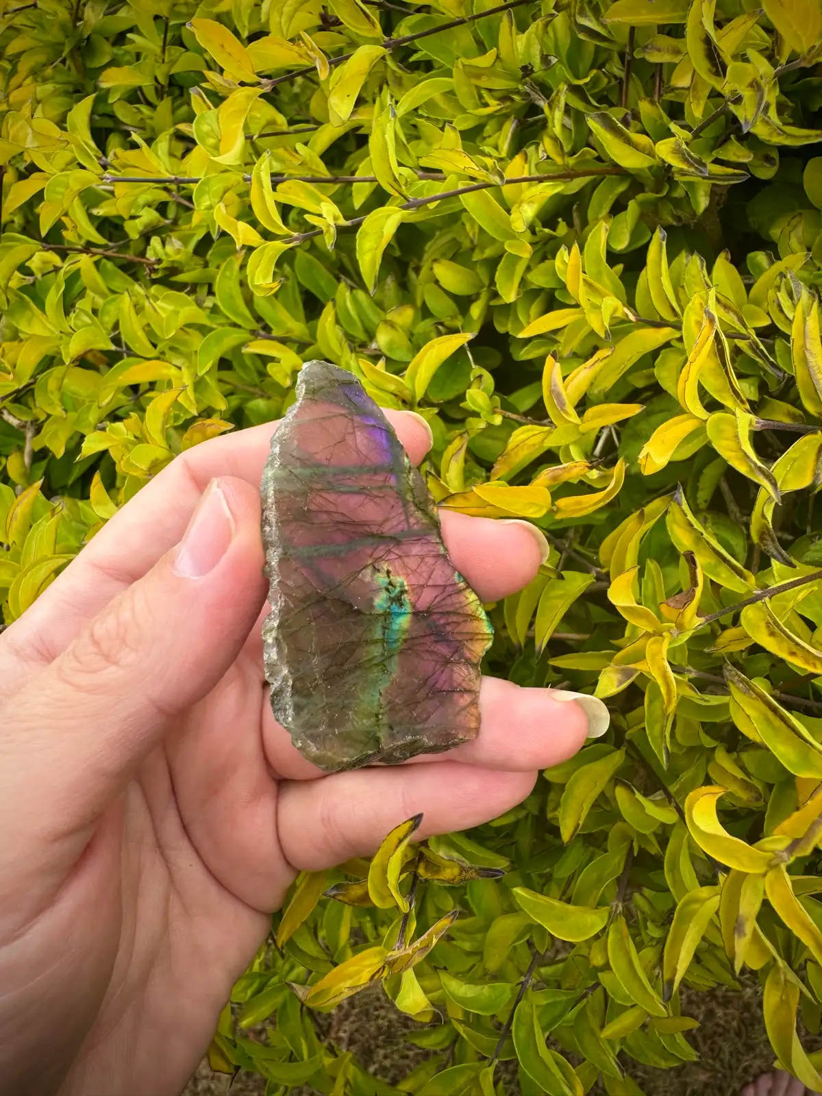 labradorite crystal rough – photo 6