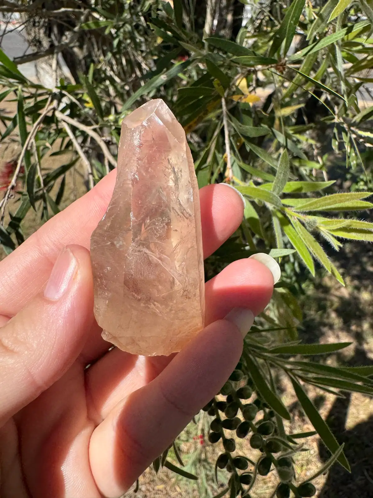 Lemurian Crystal Quartz point – photo 3