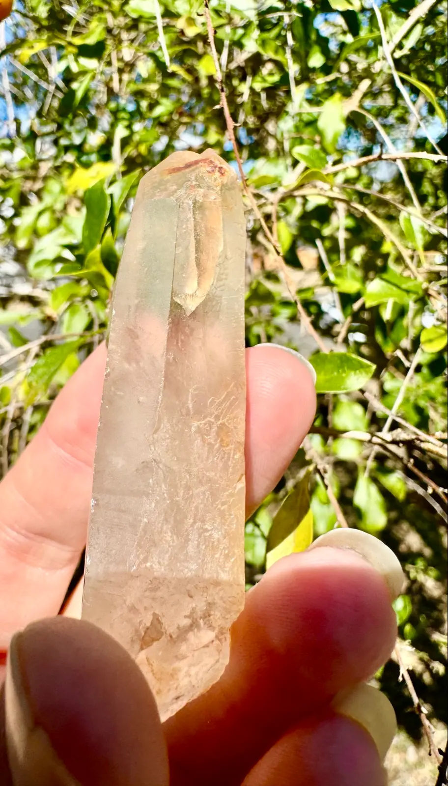 Lemurian Crystal quartz point – photo 2