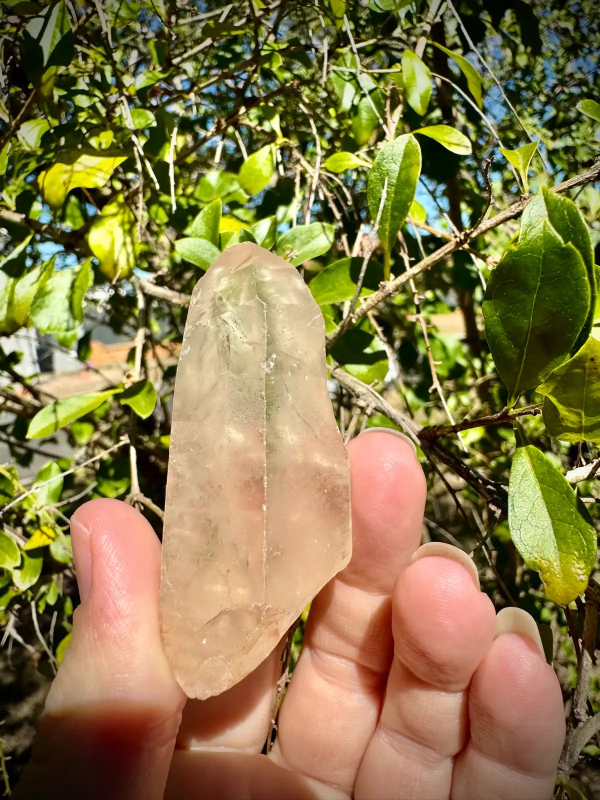 Lemurian Crystal Quartz point – photo 6