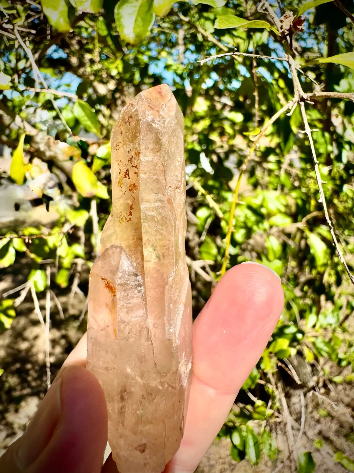 Lemurian crystal wand – photo 2