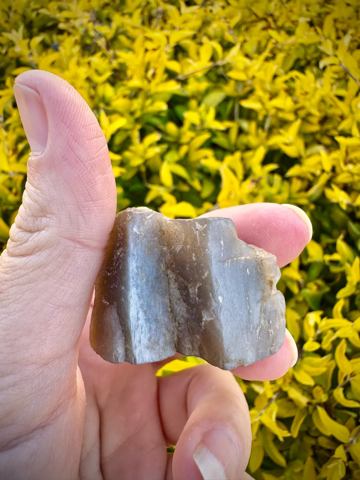 Meteor Shower Moonstone Rare Specimen — photo 6