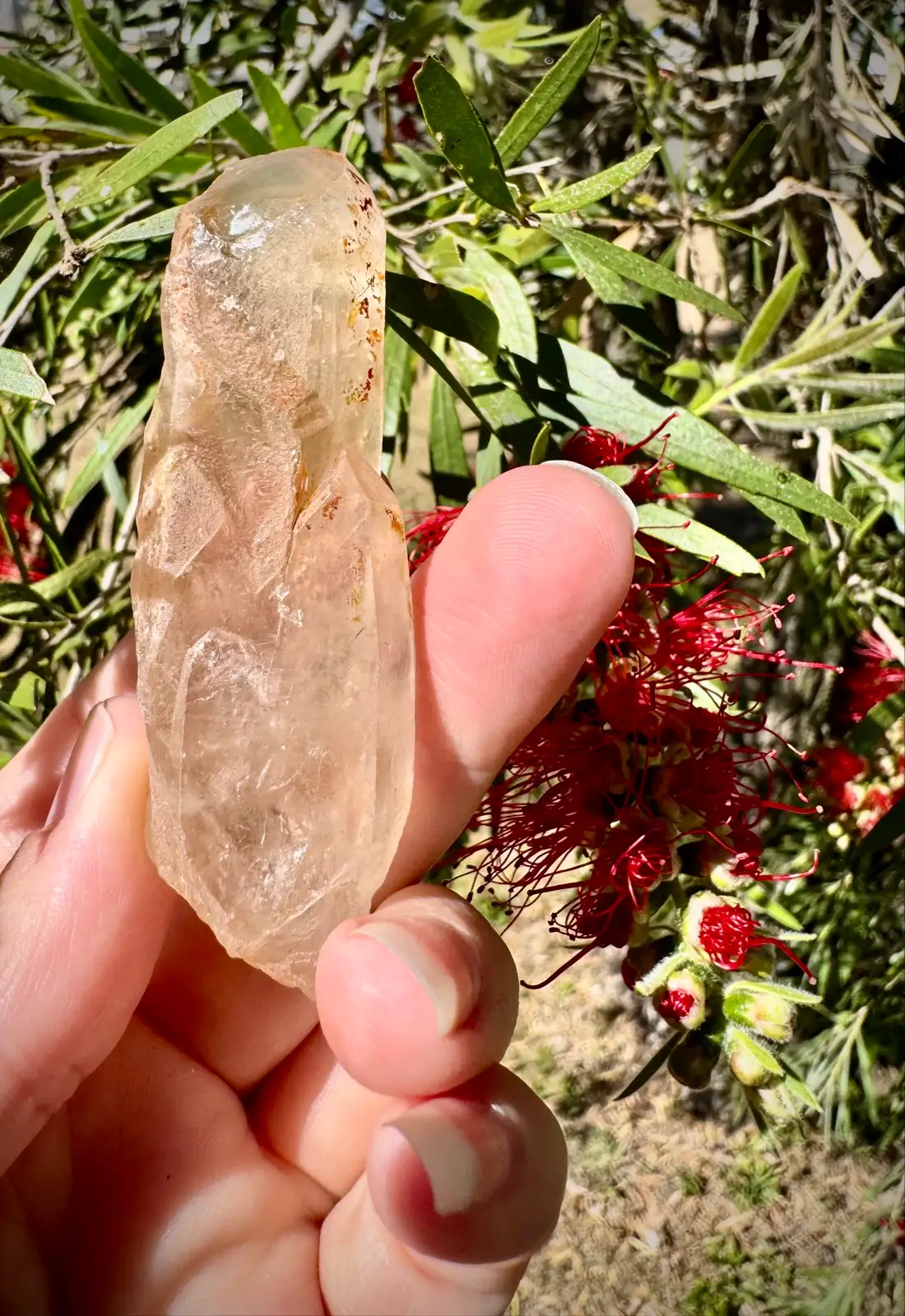 Lemurian crystal wand – photo 6