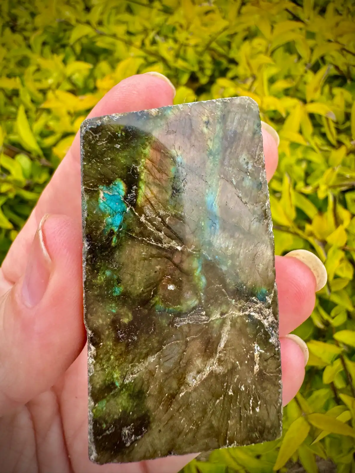 Labradorite Polished face crystal rough – photo 2