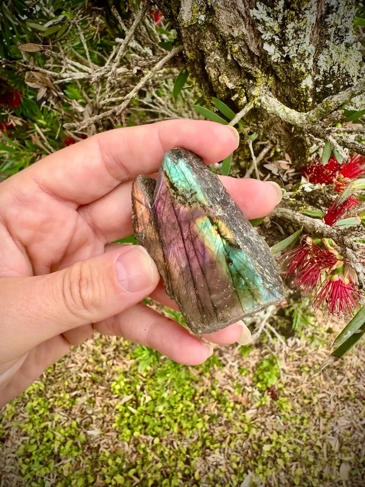 Labradorite Crystal Rough – photo 5
