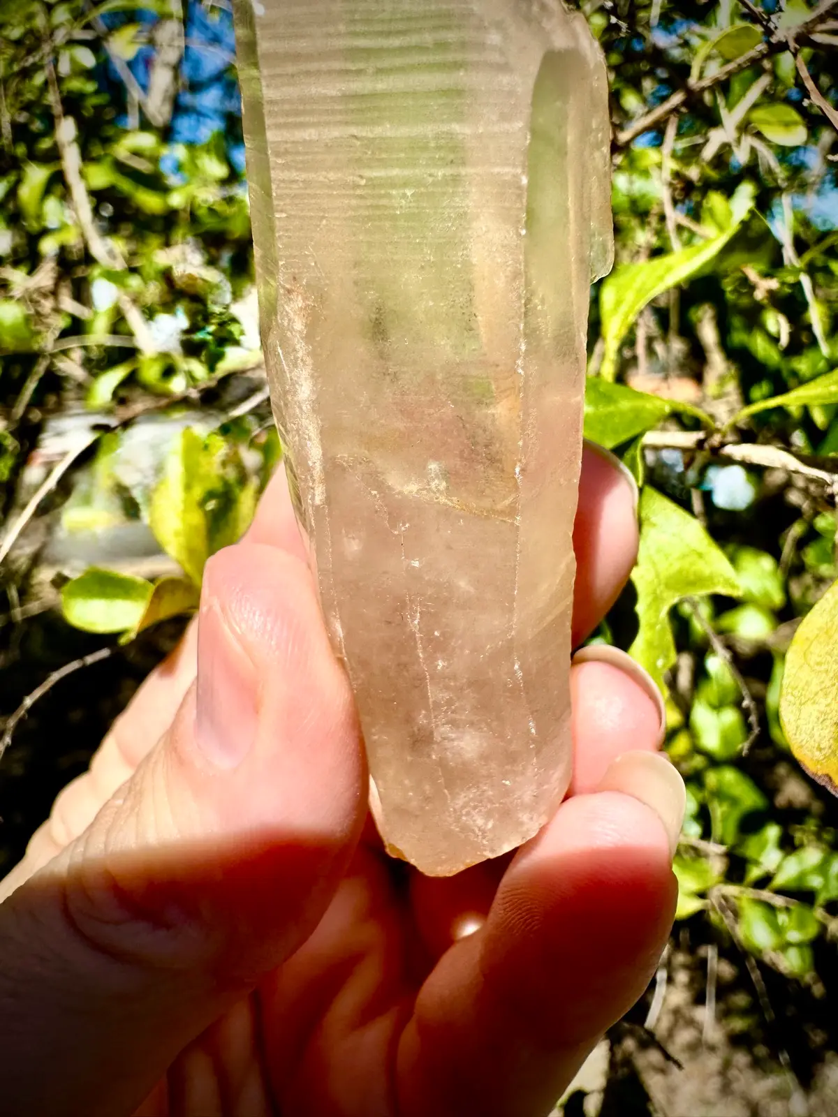 Lemurian Crystal quartz point – photo 4
