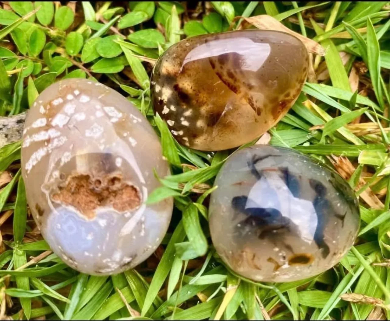 Dendritic Agate Tumble-stone x 1 — photo 9