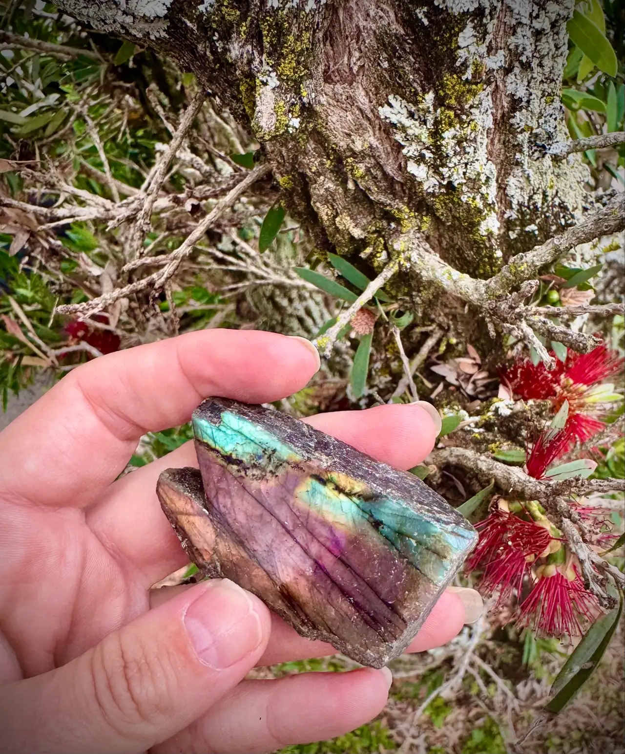 Labradorite Crystal Rough – photo 2