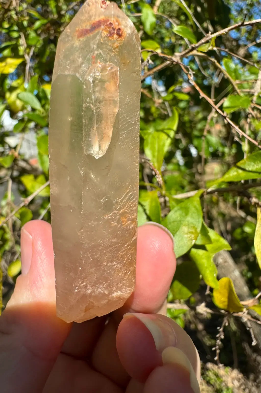Lemurian Crystal quartz point – photo 7