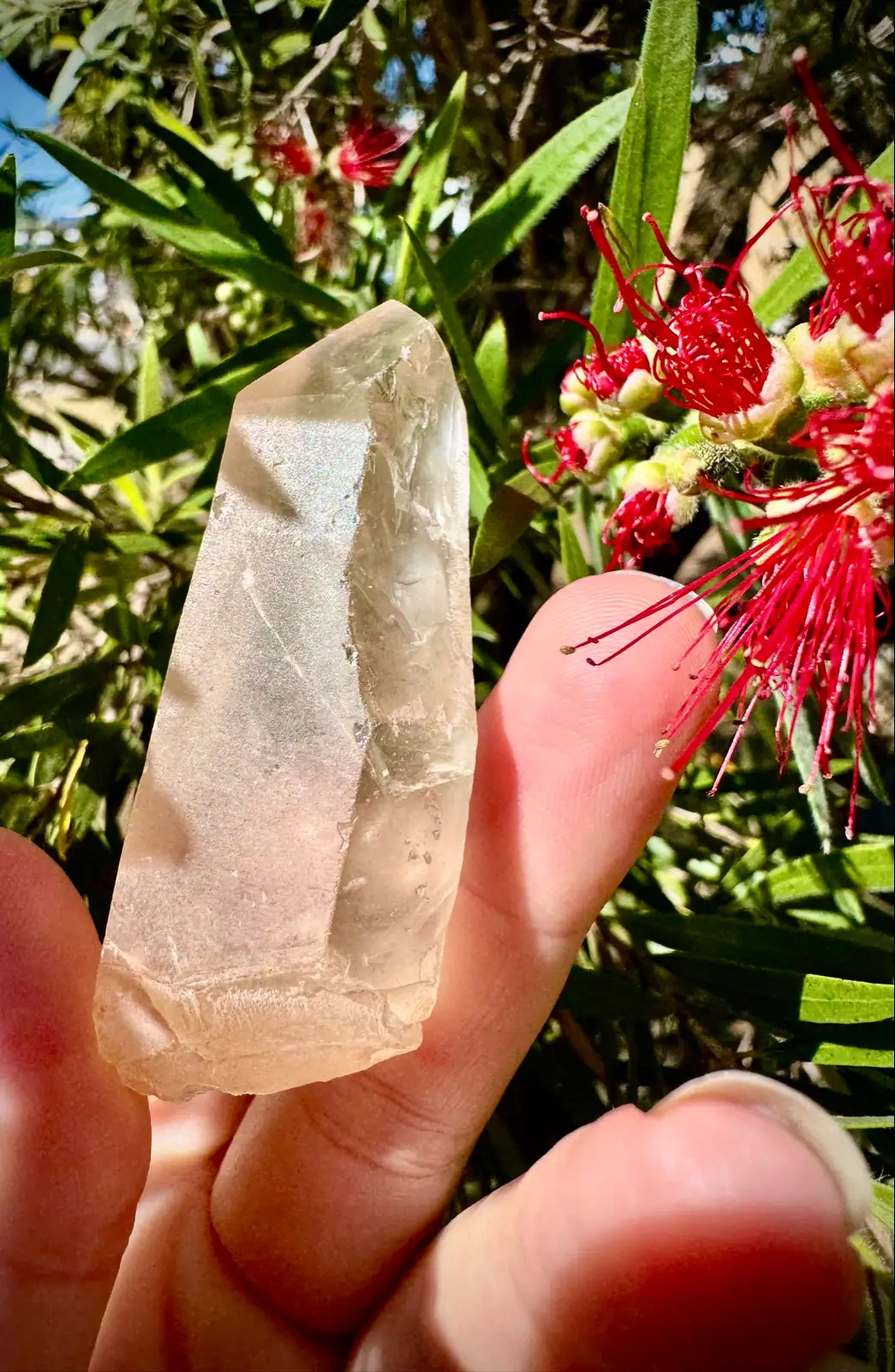 Lemurian Crystal Quartz point – photo 4
