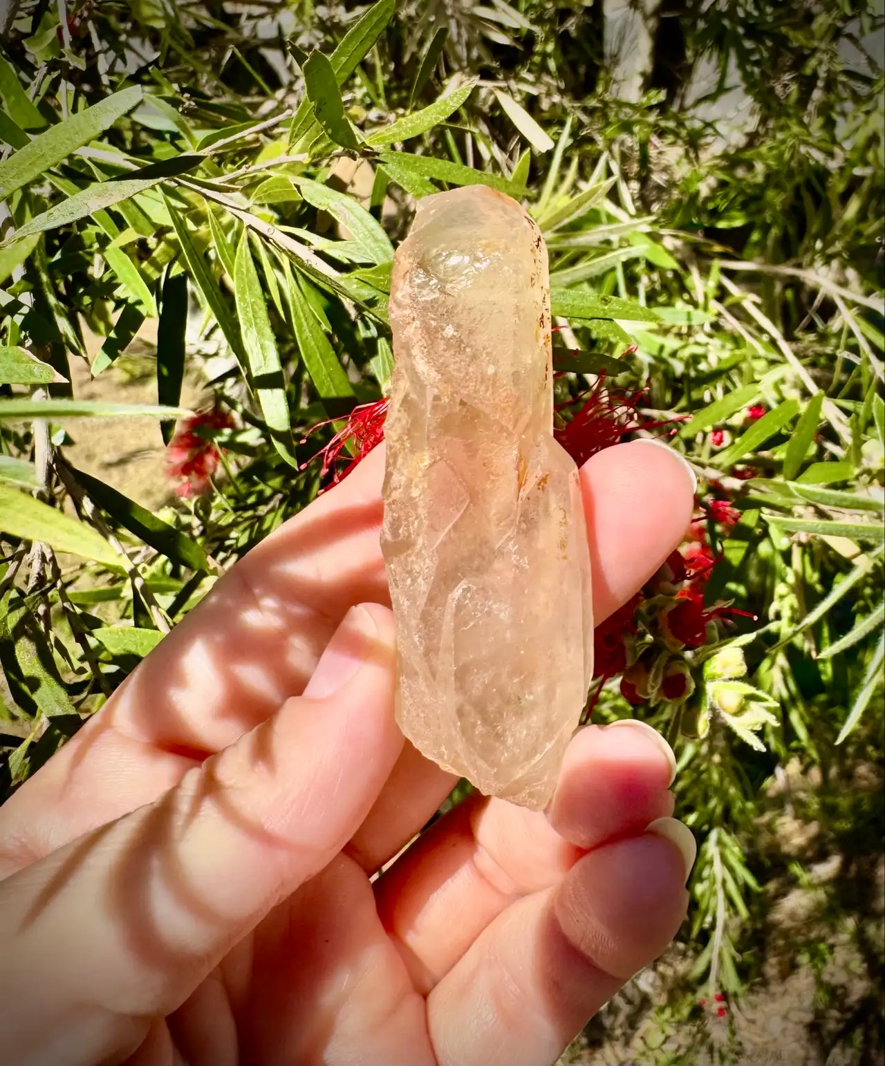 Lemurian crystal wand – photo 5