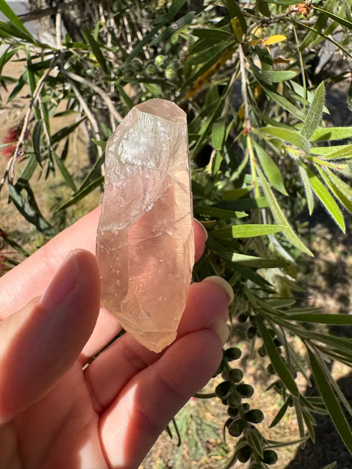 Lemurian Crystal Quartz point – photo 2