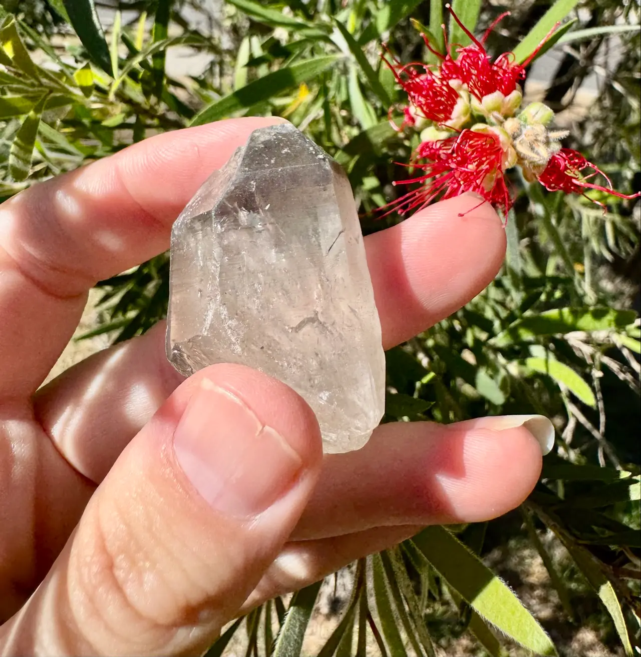 Lemurian Crystal Quartz – photo 4