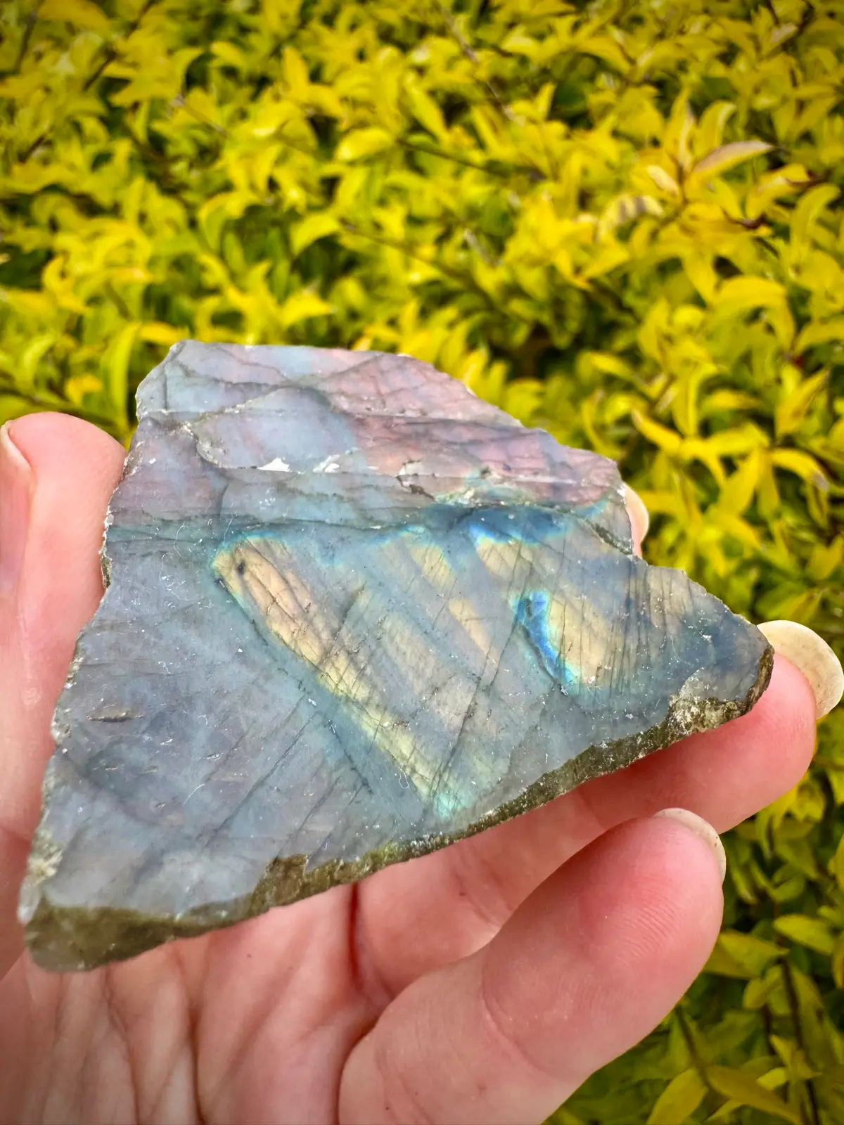 Rainbow Labradorite Crystal Rough polished face – photo 4