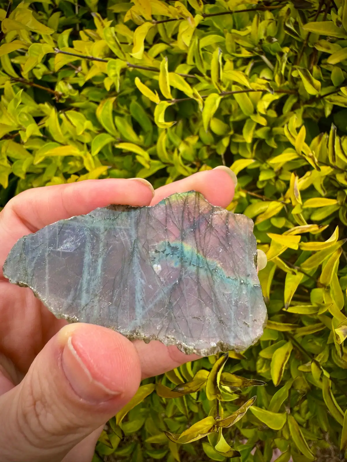 labradorite crystal rough – photo 3
