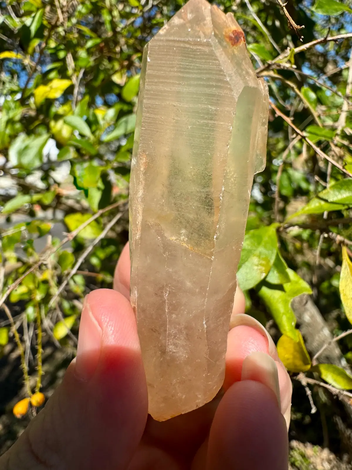Lemurian Crystal quartz point – photo 5