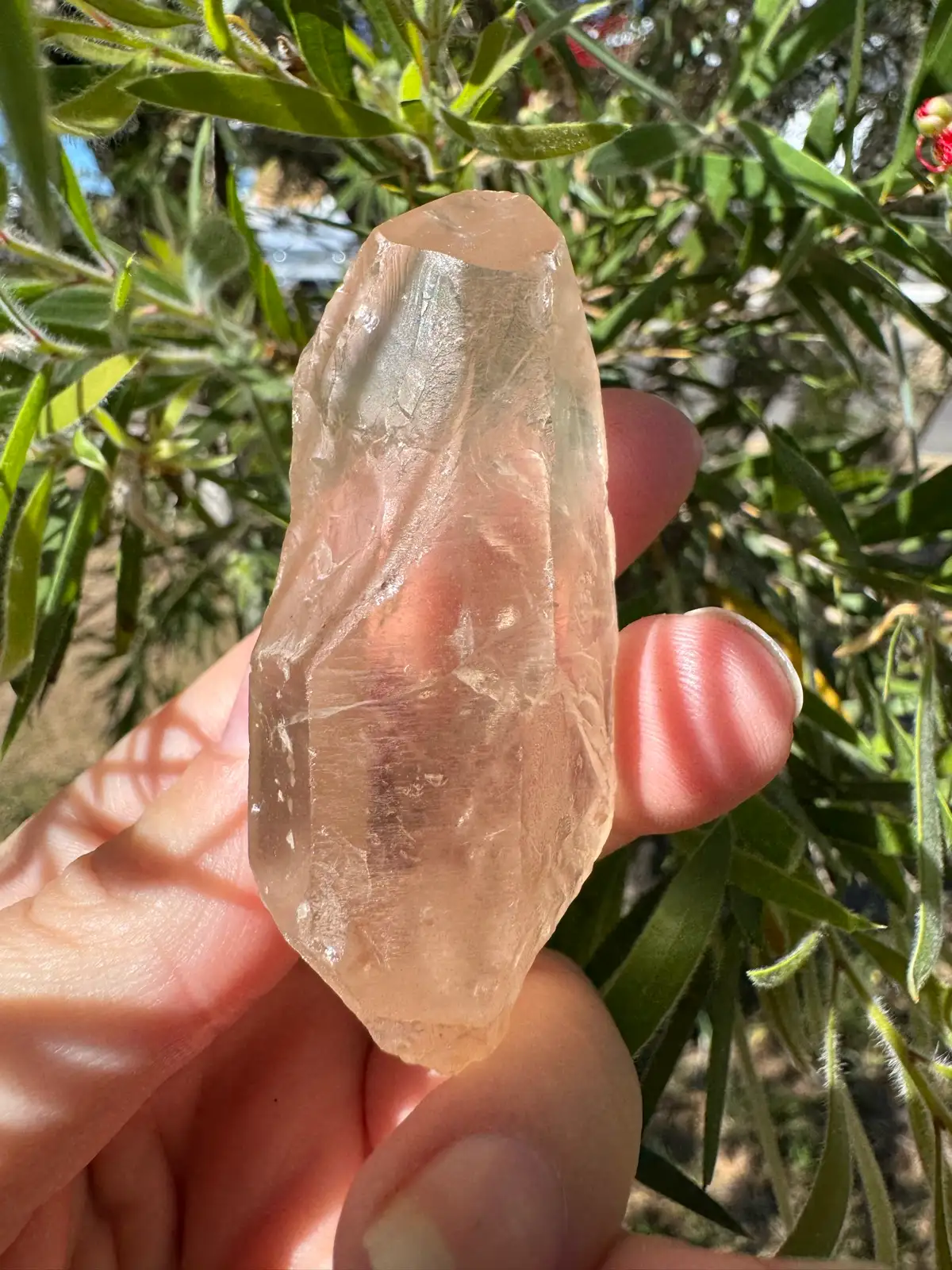 Lemurian Crystal Quartz point – photo 8