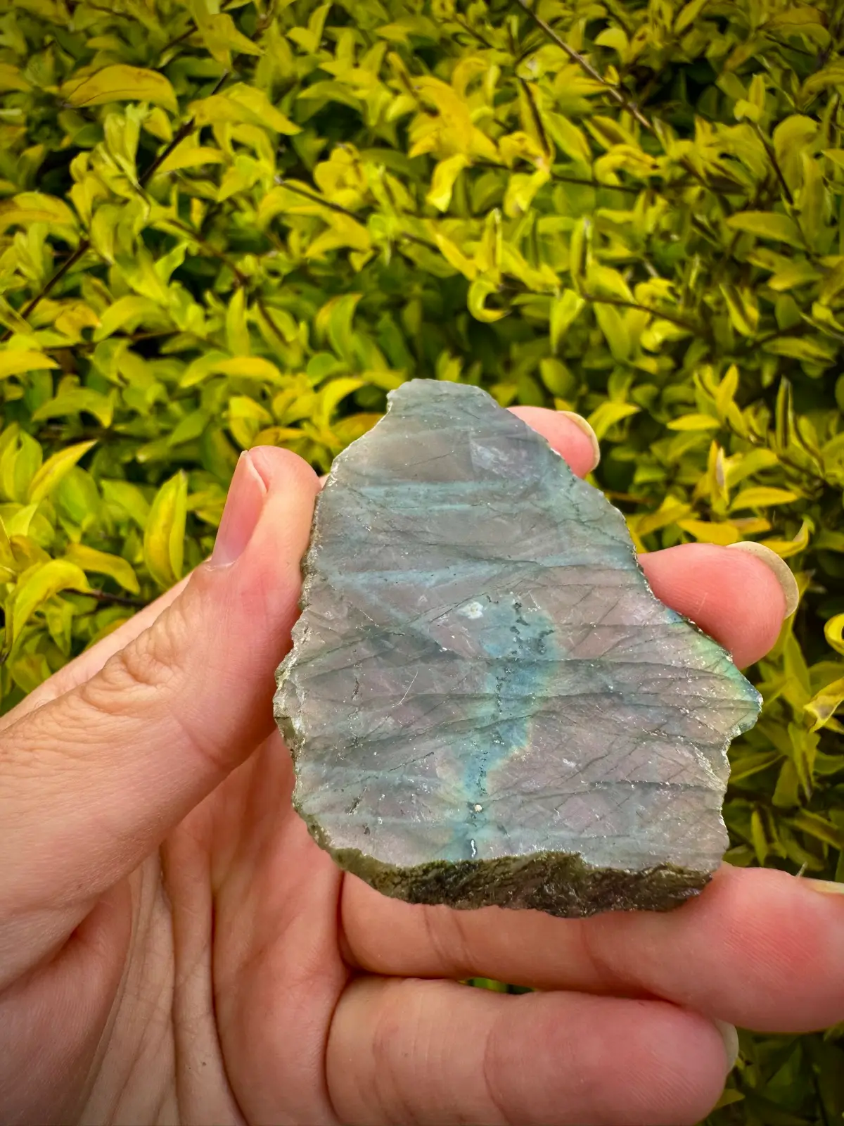 labradorite crystal rough – photo 10