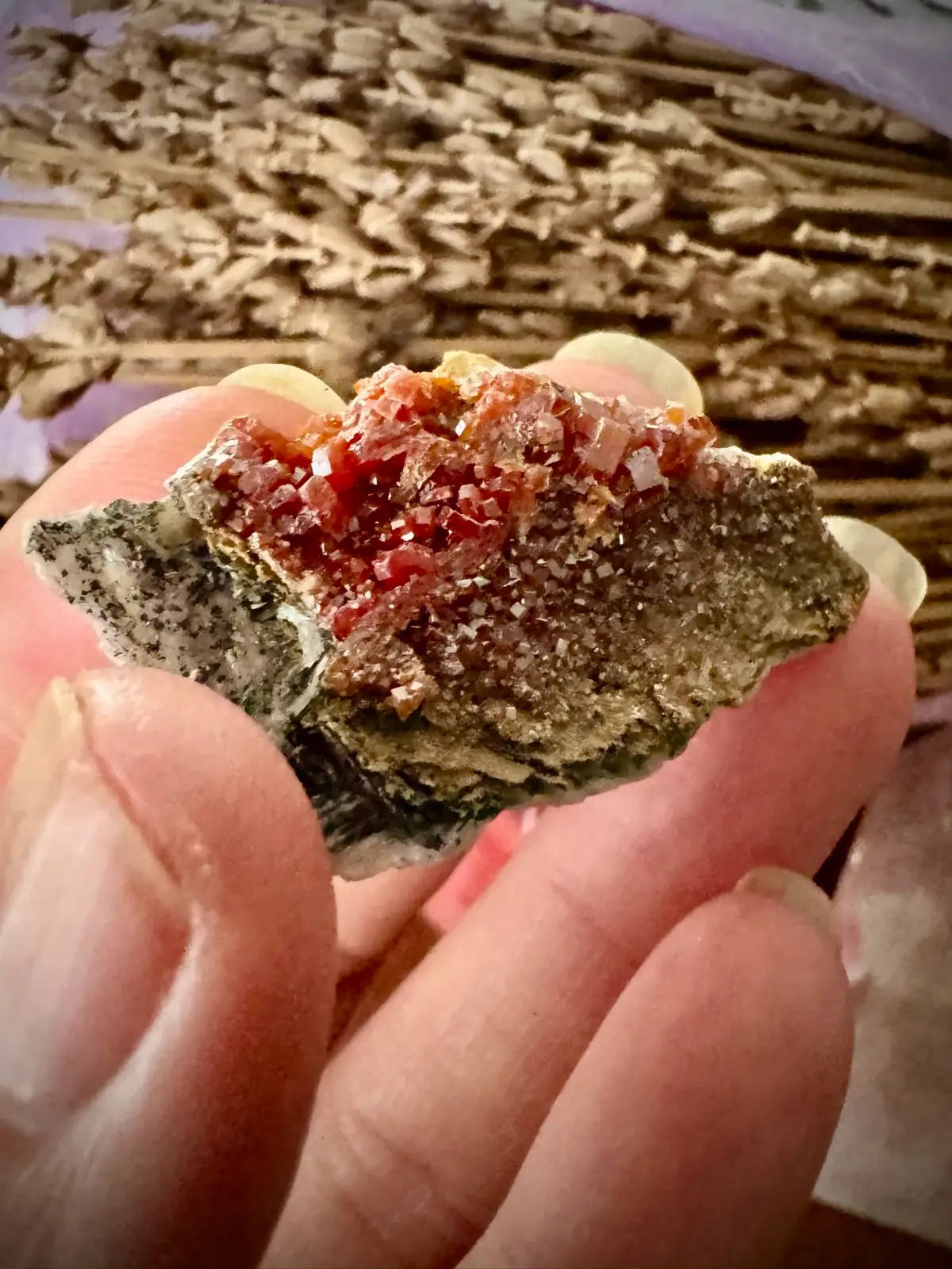 Vanadinite Crystal Cluster – photo 4