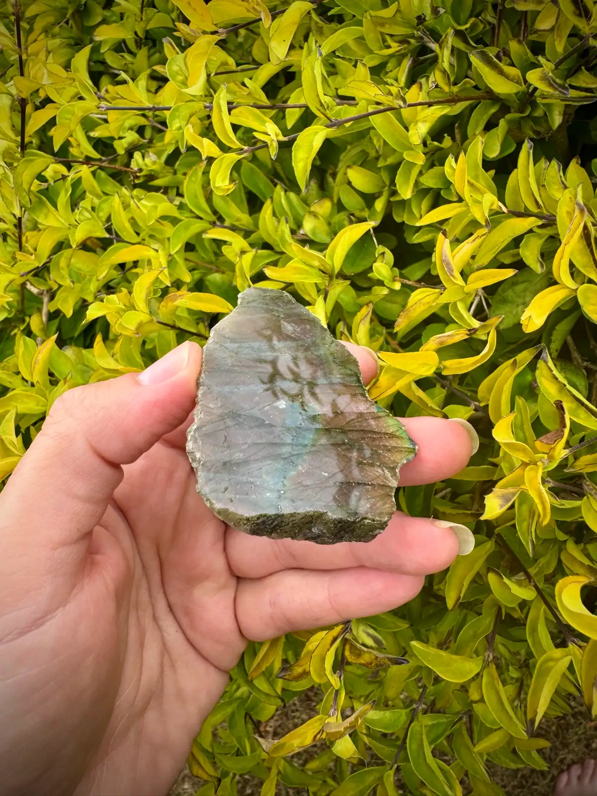 labradorite crystal rough – photo 5