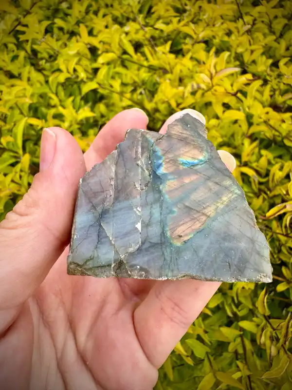 Rainbow Labradorite Crystal Rough polished face