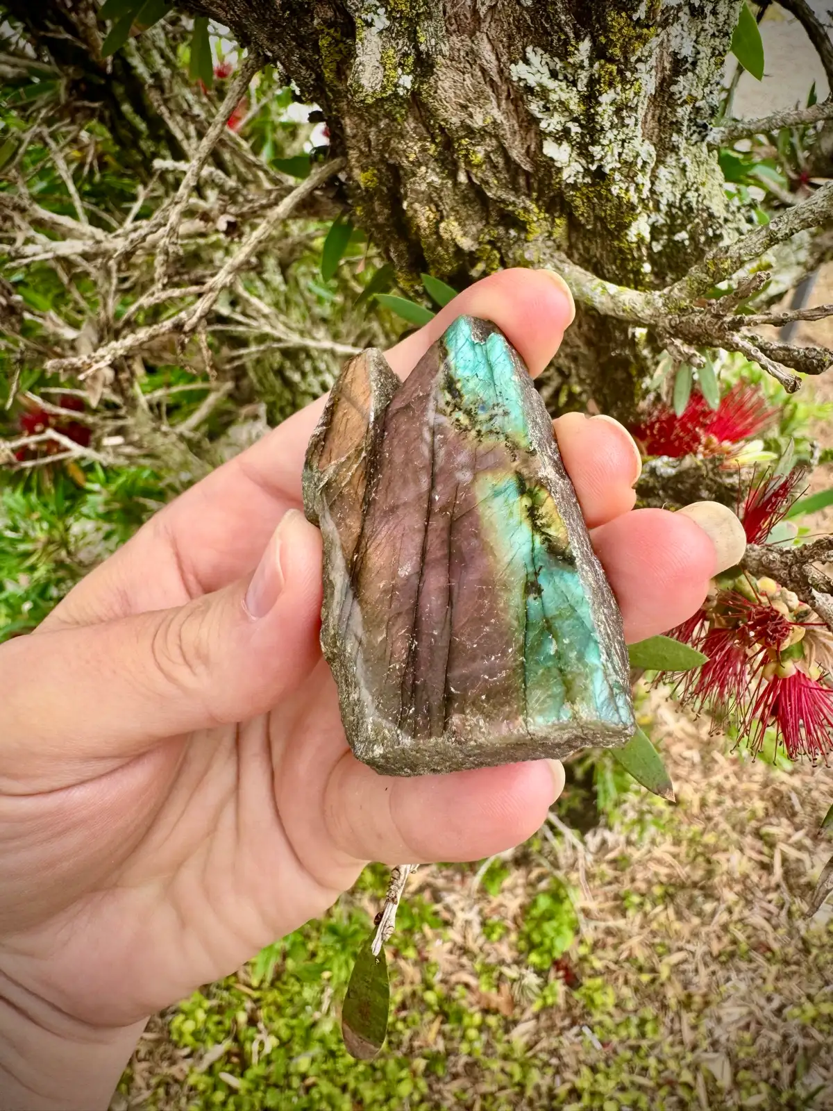 Labradorite Crystal Rough – photo 3