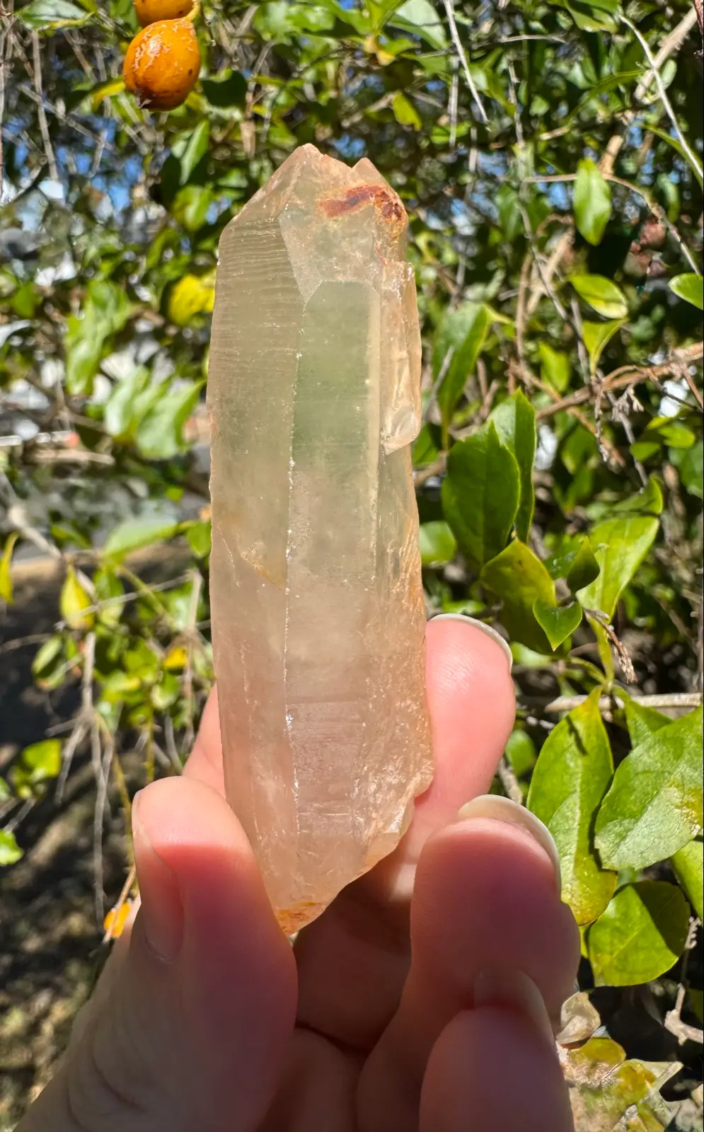 Lemurian Crystal quartz point – photo 3
