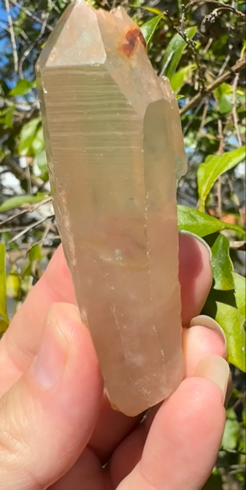 Lemurian Crystal quartz point – photo 6
