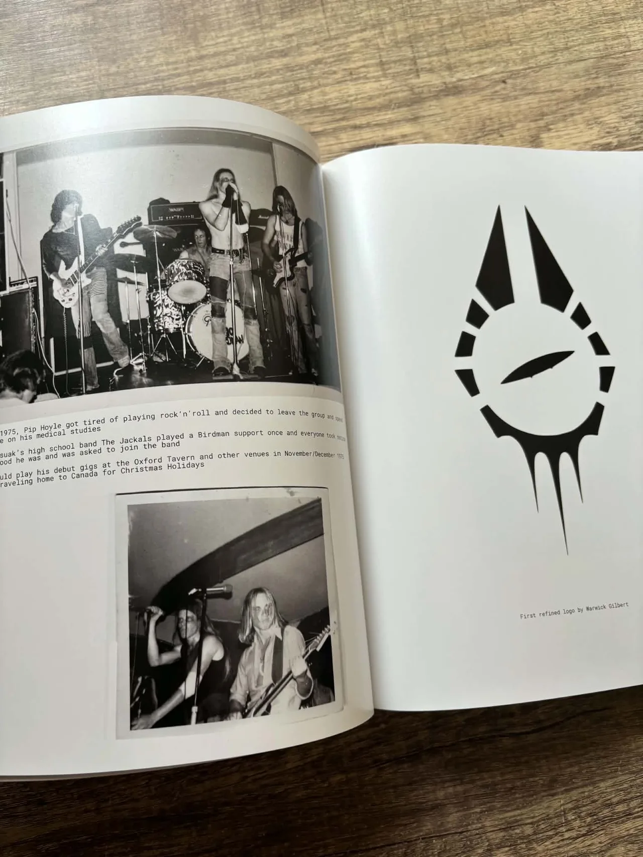 Radio Birdman ~ When The Birdmen Flew — photo 4