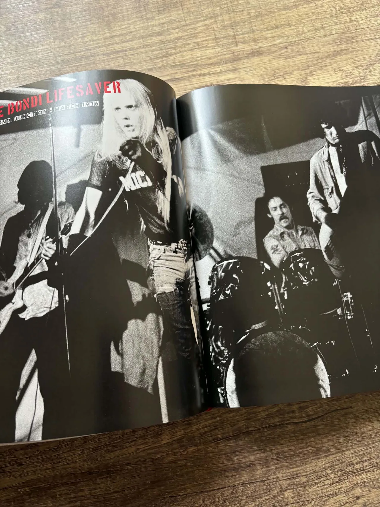 Radio Birdman ~ When The Birdmen Flew — photo 7