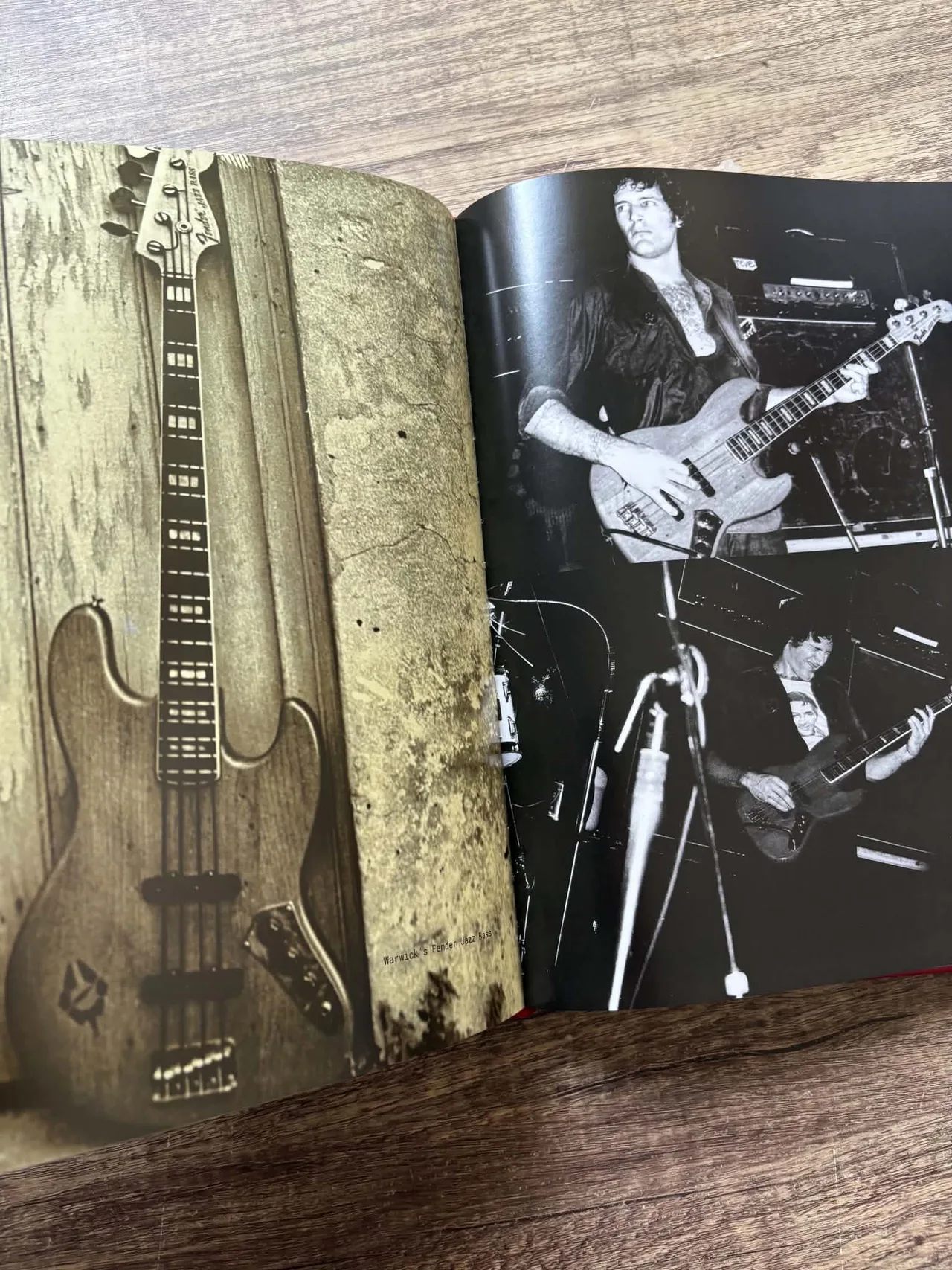 Radio Birdman ~ When The Birdmen Flew — photo 6
