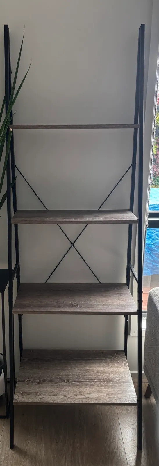 Ladder Bookshelf