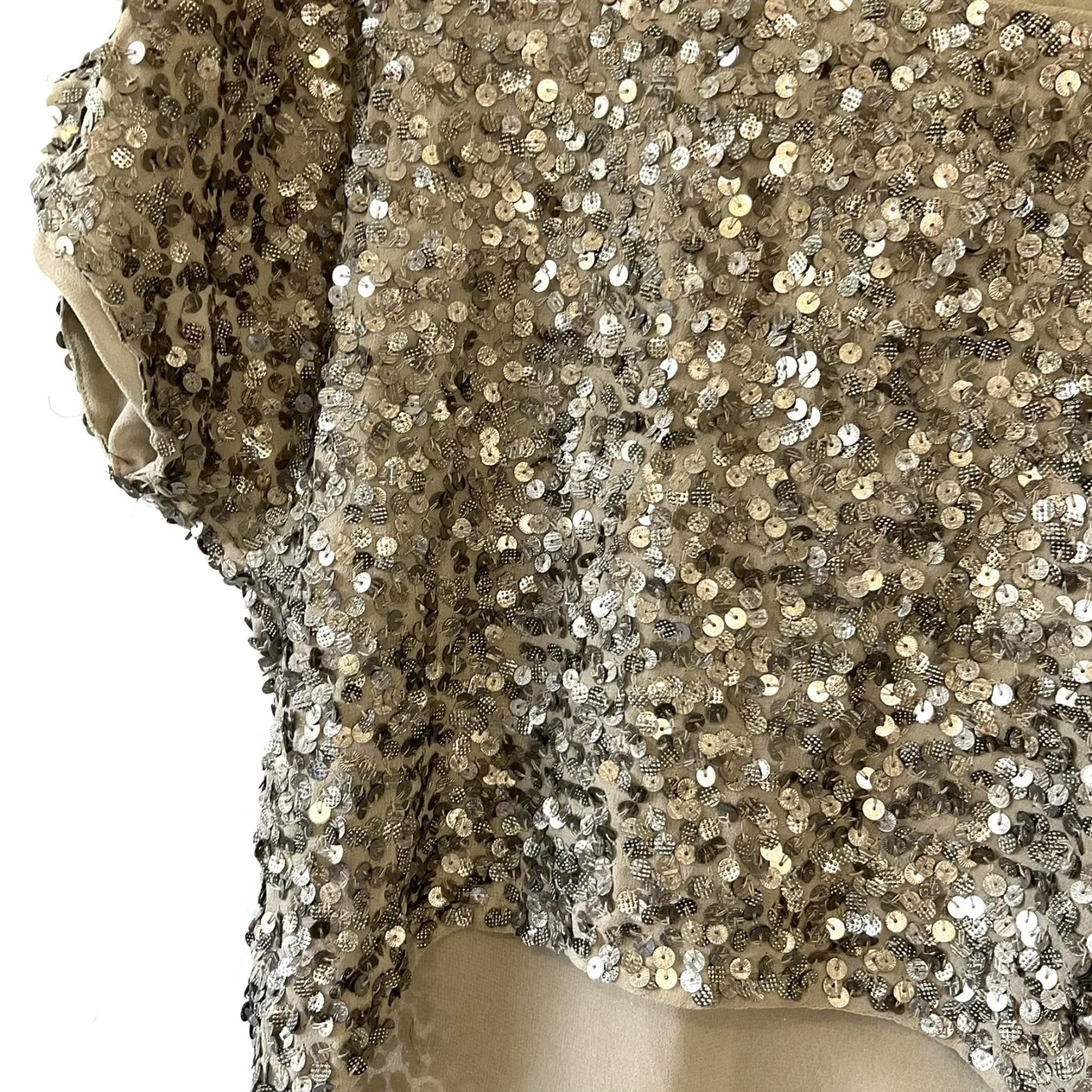 Portmans Size 10 Silver Grey Sparkly Sequin Short Sleeve Lined BohoLuxe Crop Top — photo 2