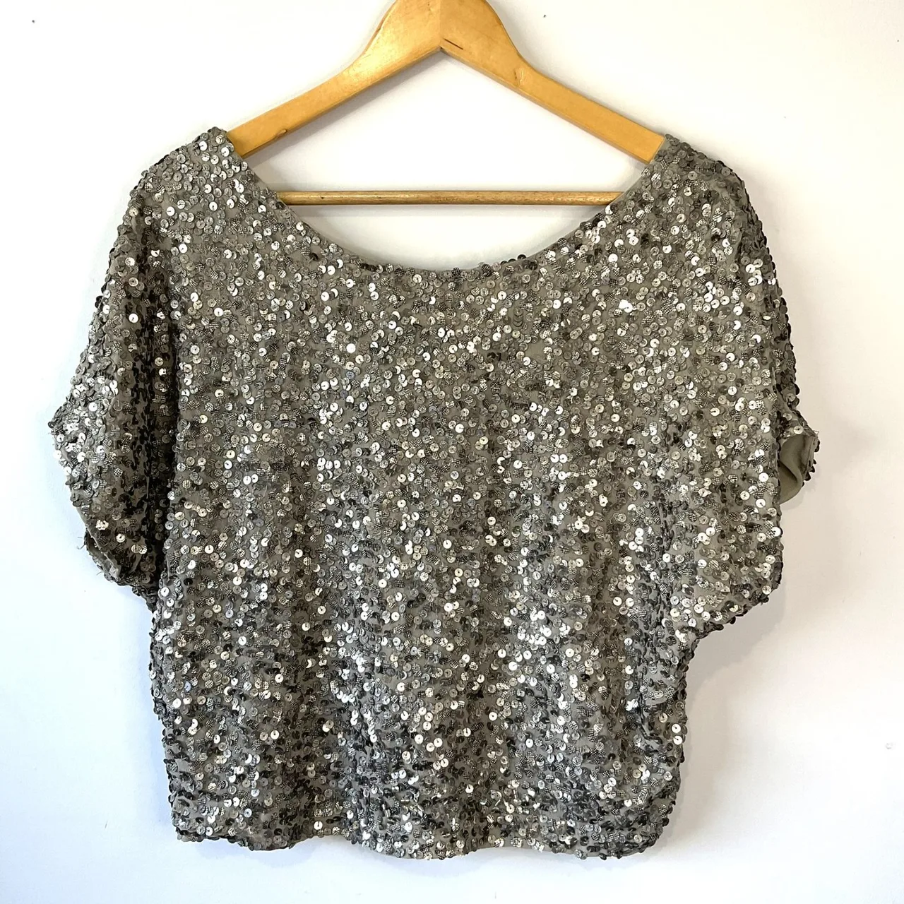 Portmans Size 10 Silver Grey Sparkly Sequin Short Sleeve Lined BohoLuxe Crop Top — photo 4