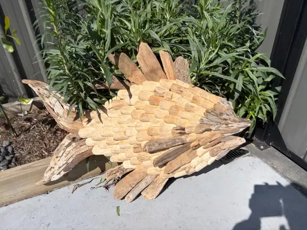 Driftwood fish wall decor large