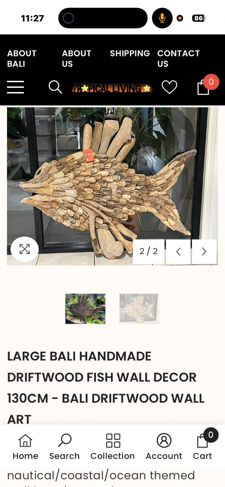 Driftwood fish wall decor large – photo 3
