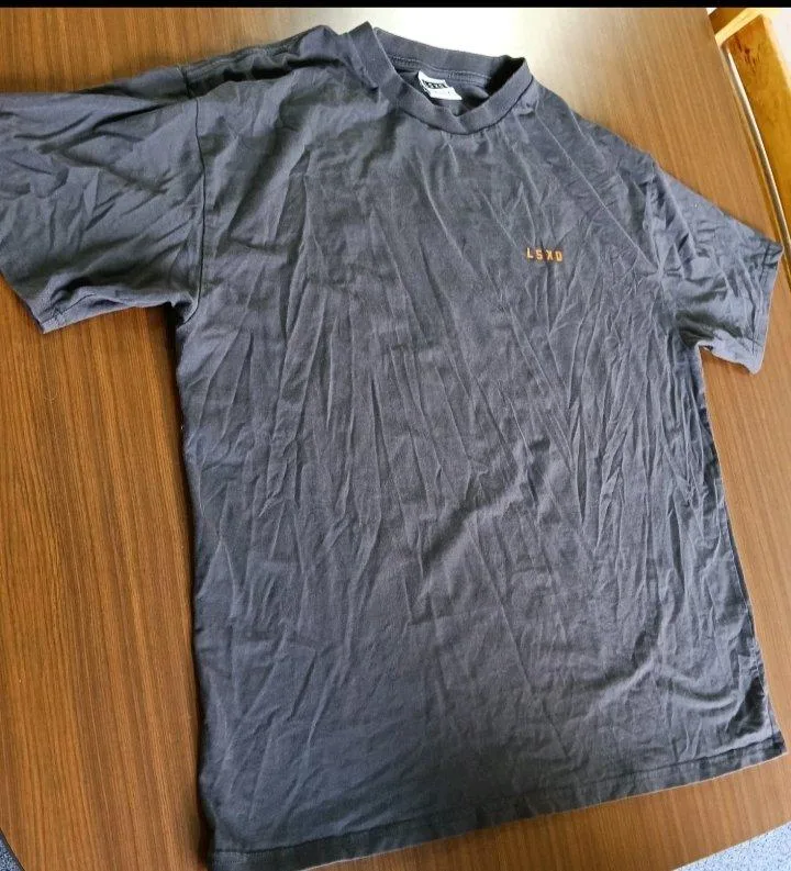 LSKD Grey Men's Crew Neck Short Sleeve Graphic Logo Tee "We Rise" Size M – photo 3