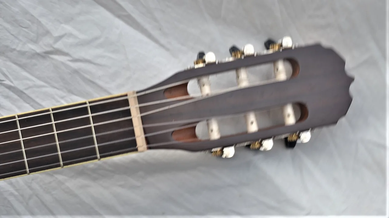 Sanchez SC-39ET-RWD Full size Acc/Elec Nylon string guitar – photo 6