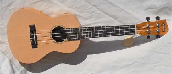 Mojo Concert Ukulele Spruce Top and Acacia Back & Sides