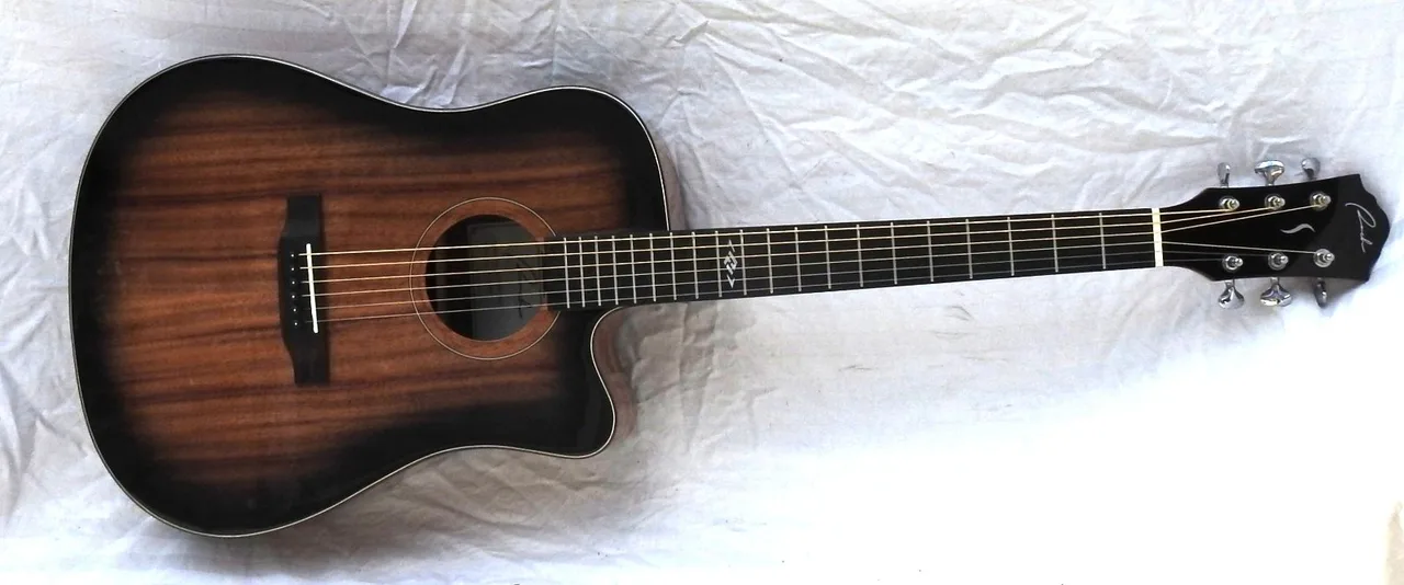 Ranch Full Size Acc/Elec Guitar Gloss Blackburst figured Mahogany – photo 2