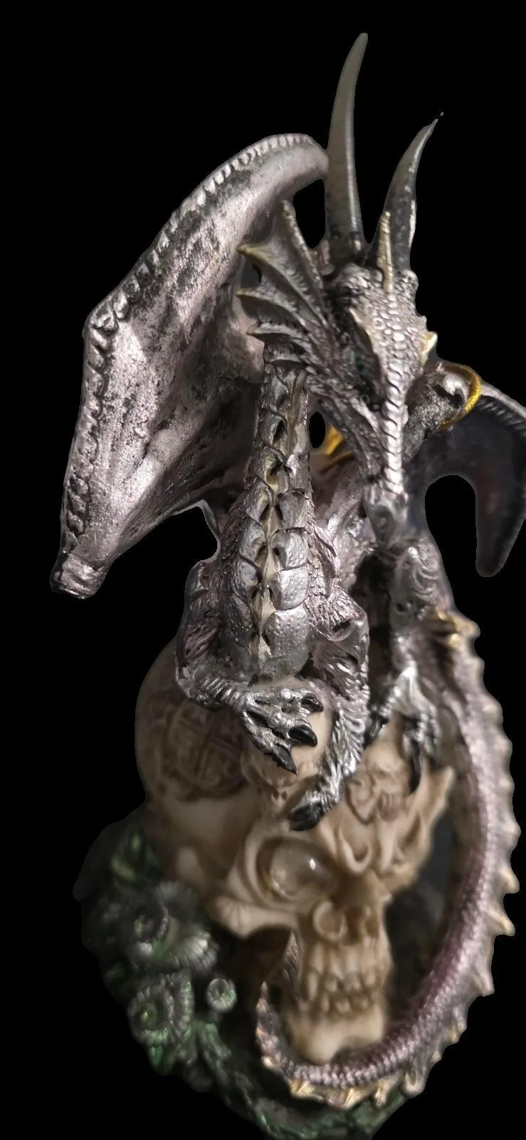 Dragon & Skull – photo 3
