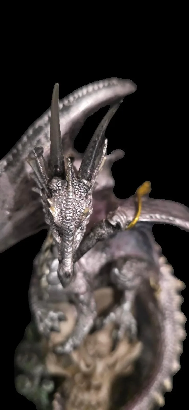 Dragon & Skull – photo 2