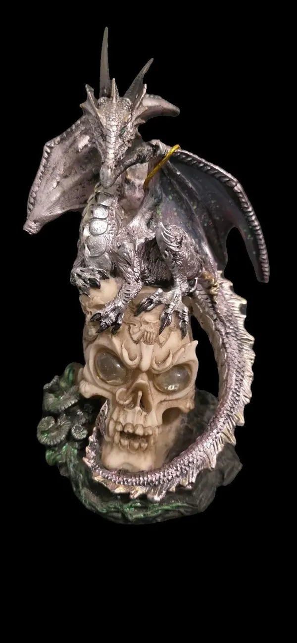 Dragon & Skull