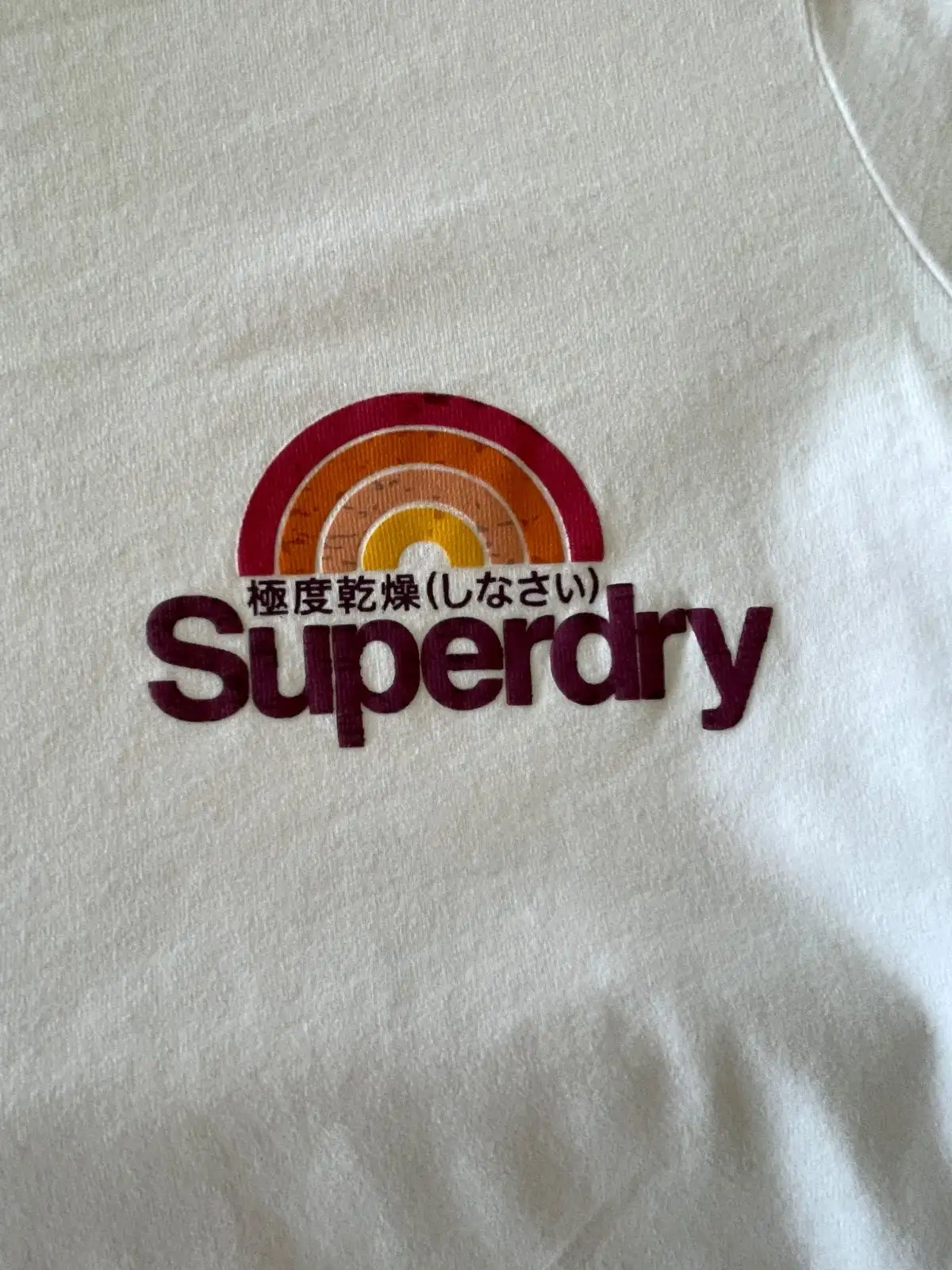 Superdry Women's White T-Shirt With Rainbow Logo Graphic – photo 3
