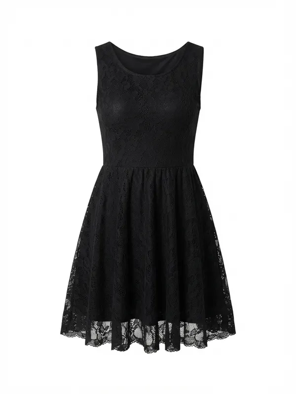 Kling Lace Sleeveless Fit and Flare Dress Black Size 2