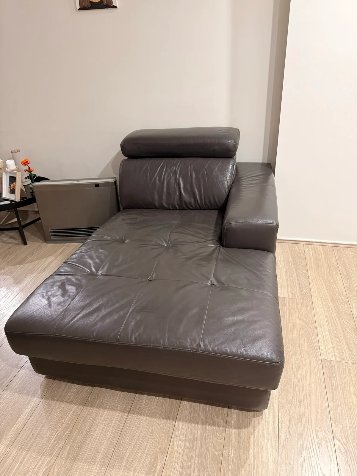 Leather Couches – photo 5