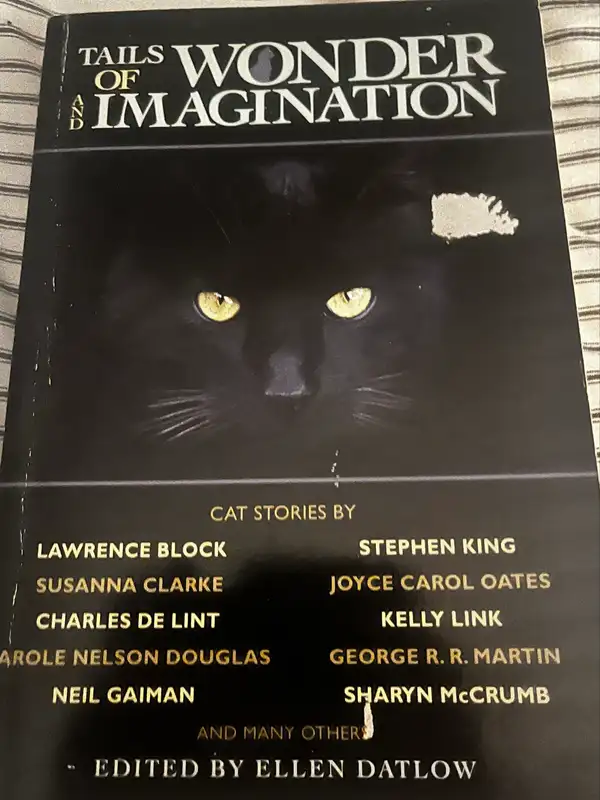 Cat stories book
