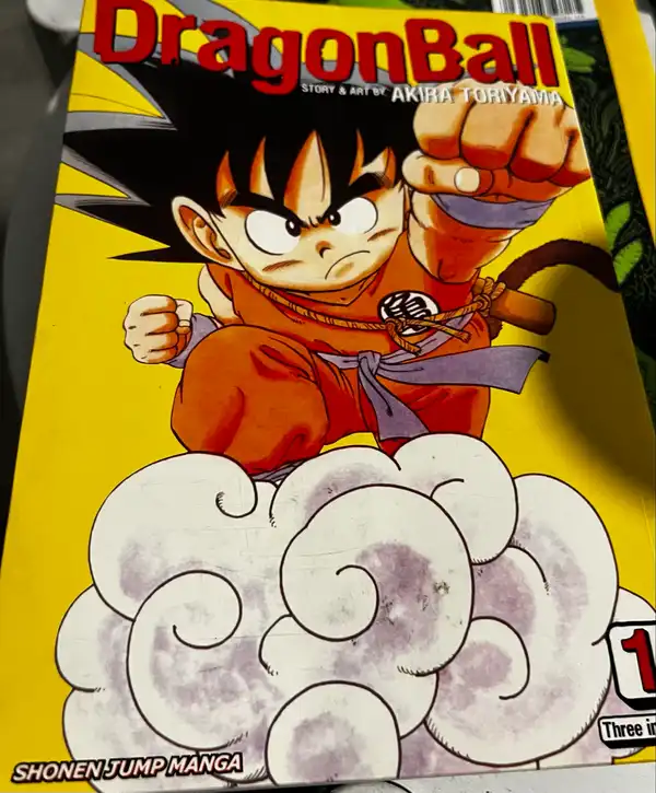 Manga book