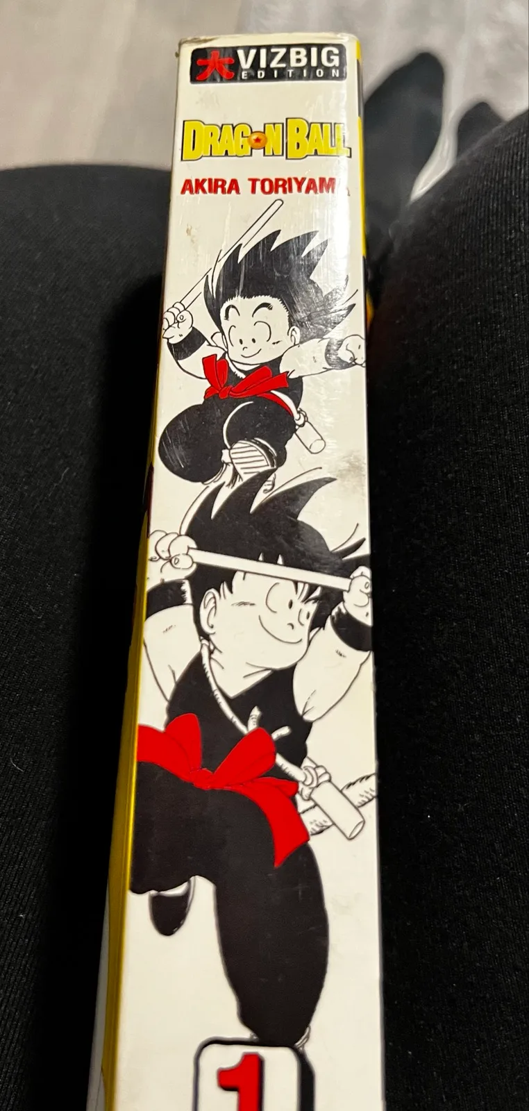 Manga book – photo 4