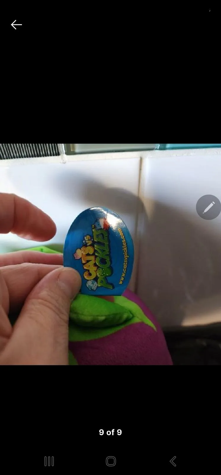 Egg plant cat v pickles — photo 8